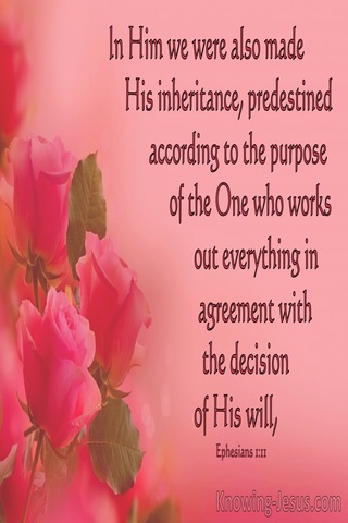 Ephesians 1:11 We Have Obtained An Inheritance, Having Been Predestined According To His Purpose (pink)
